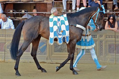 Beating the Palio .